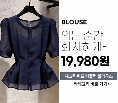 블라우스
