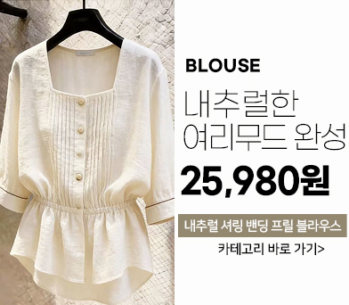 블라우스